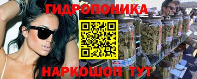 прущие грибы Пыть-Ях