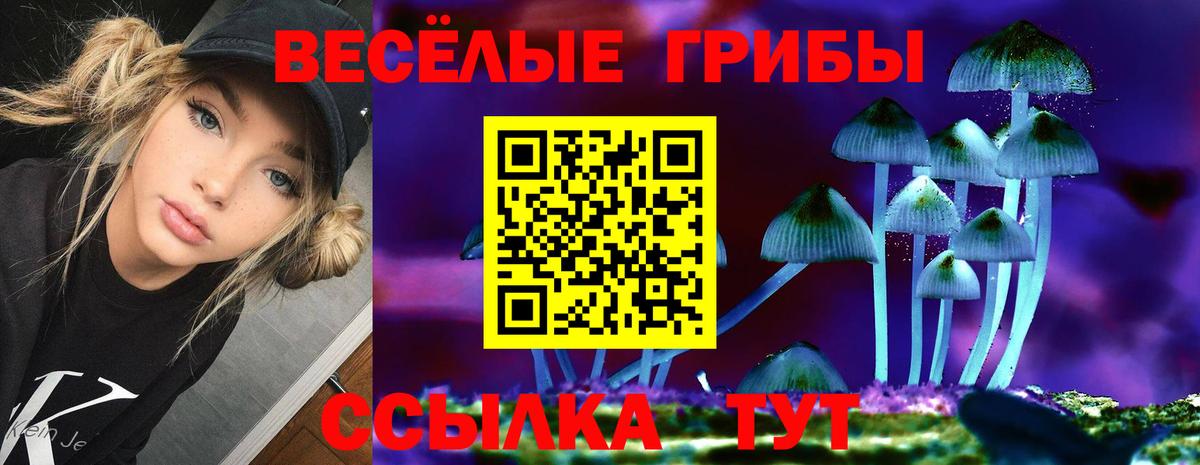 Псилоцибиновые грибы Psilocybine cubensis Обнинск